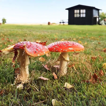 6 Person In Hojslev-by Traum